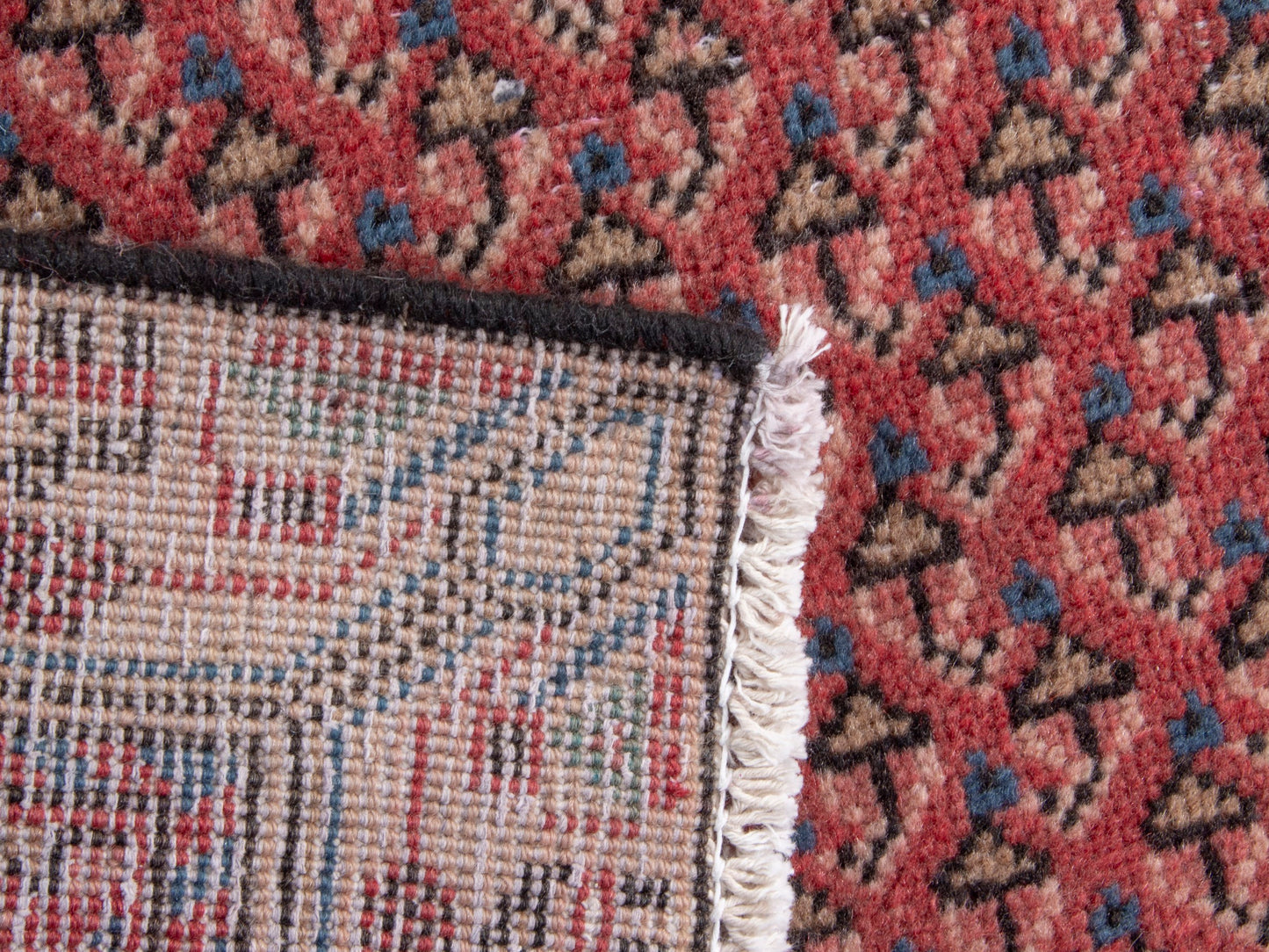CAN_4882 - 2'1" x 2'6"