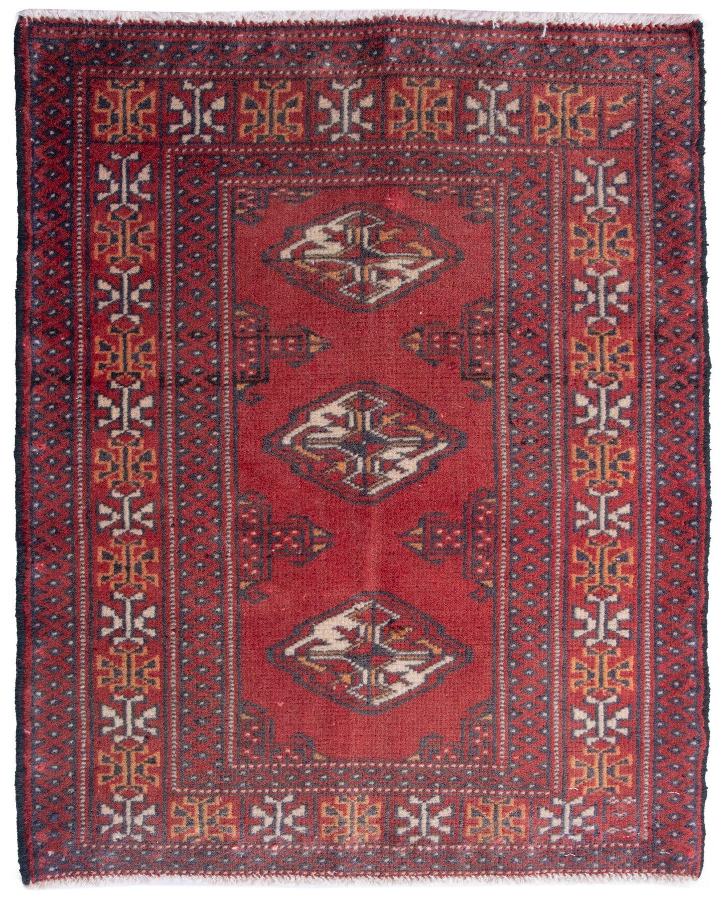 CAN_4887 - 2'1" x 2'9"