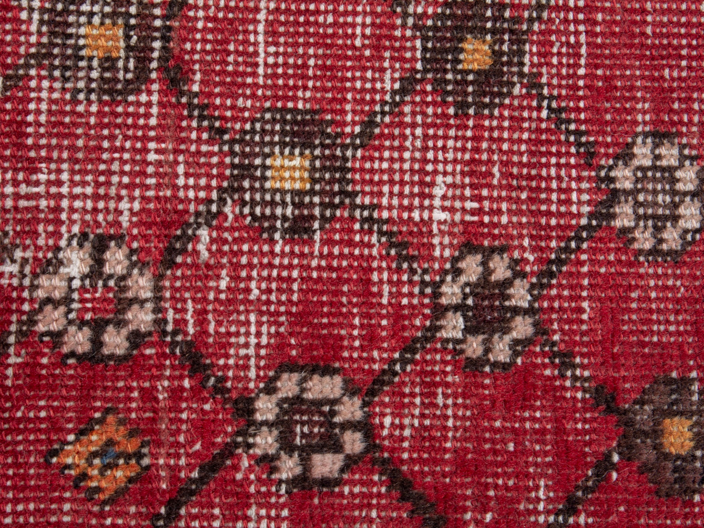 CAN_4893 - 1'8" x 2'7"