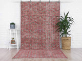 Paisley - 4'10" x 10'11"