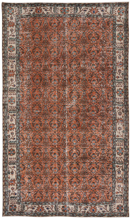 1581 - 5'3" x 9'